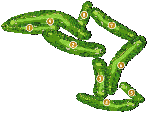 コース全体俯瞰図