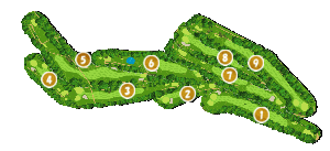 コース全体俯瞰図