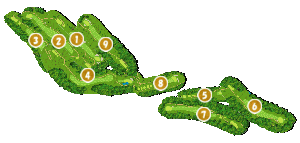 コース全体俯瞰図