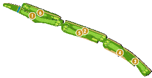 コース全体俯瞰図