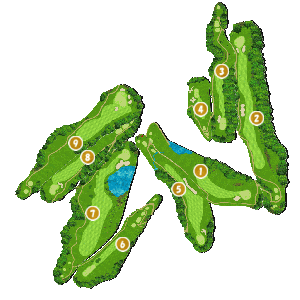 コース全体俯瞰図