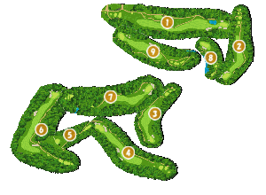 コース全体俯瞰図