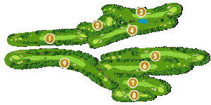 コース全体俯瞰図