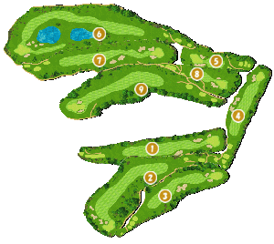 コース全体俯瞰図