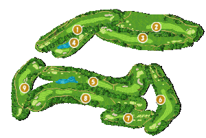 コース全体俯瞰図