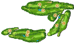 コース全体俯瞰図