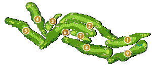 コース全体俯瞰図