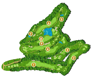 コース全体俯瞰図