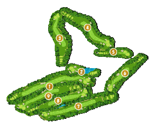 コース全体俯瞰図