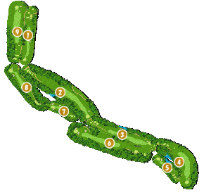 コース全体俯瞰図