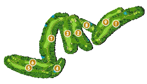 コース全体俯瞰図