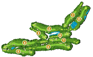 コース全体俯瞰図