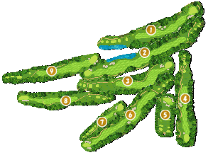 コース全体俯瞰図