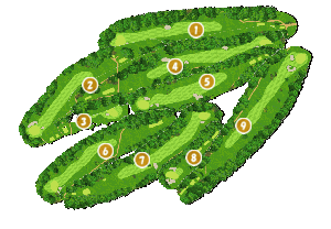 コース全体俯瞰図