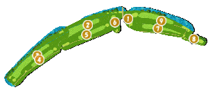 コース全体俯瞰図