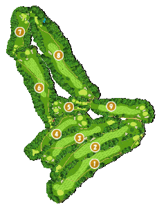 コース全体俯瞰図