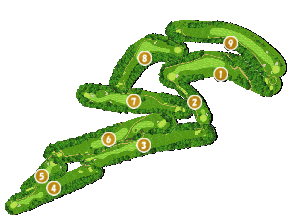 コース全体俯瞰図