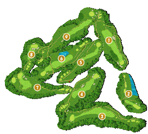 コース全体俯瞰図