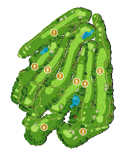 コース全体俯瞰図