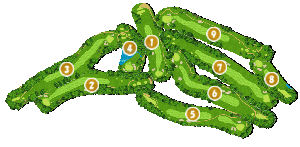 コース全体俯瞰図