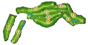 コース全体俯瞰図