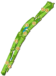 コース全体俯瞰図