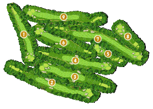 コース全体俯瞰図