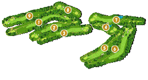 コース全体俯瞰図